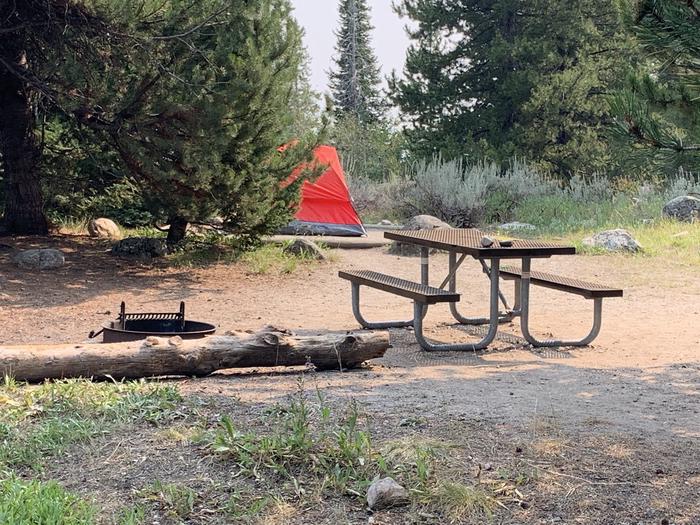A photo of Site 43 of Loop Jenny Lake at Jenny Lake Campground with Picnic Table, Fire Pit, Food Storage, Tent Pad