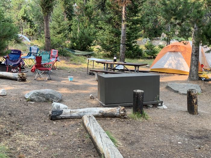 A photo of Site 31 of Loop Jenny Lake at Jenny Lake Campground with Picnic Table, Fire Pit, Food Storage, Tent Pad
