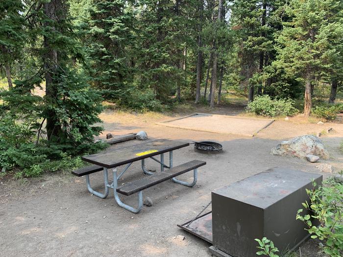 A photo of Site 11 of Loop Jenny Lake at Jenny Lake Campground with Picnic Table, Fire Pit, Food Storage, Tent Pad