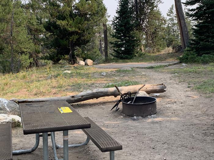 A photo of Site 30 of Loop Jenny Lake at Jenny Lake Campground with Picnic Table, Fire Pit, Food Storage, Tent Pad
