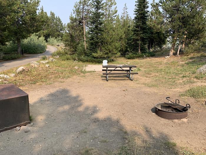 A photo of Site 42 of Loop Jenny Lake at Jenny Lake Campground with Picnic Table, Fire Pit, Food Storage, Tent Pad