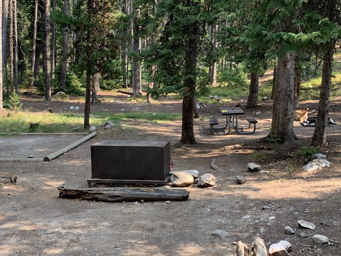 A photo of Site 25 of Loop Jenny Lake at Jenny Lake Campground with Picnic Table, Fire Pit, Food Storage, Tent Pad