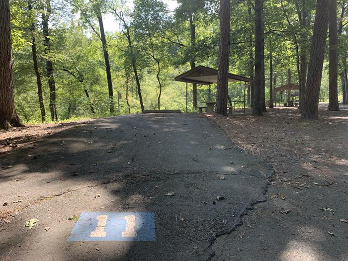 A photo of Site 011 of Loop RROA at RIVER ROAD with Picnic Table, Electricity Hookup, Fire Pit