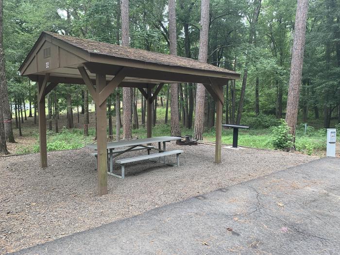 A photo of Site 22 of Loop CARTER COVE  at CARTER COVE with Picnic Table