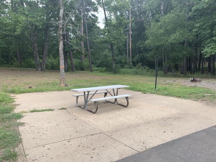 A photo of Site 07 of Loop CARTER COVE  at CARTER COVE with Picnic Table