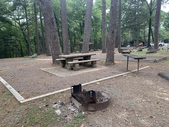 A photo of Site 11 of Loop CARTER COVE  at CARTER COVE with Picnic Table