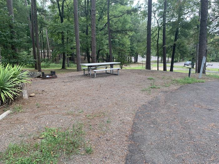 A photo of Site 09 of Loop CARTER COVE  at CARTER COVE with Picnic Table