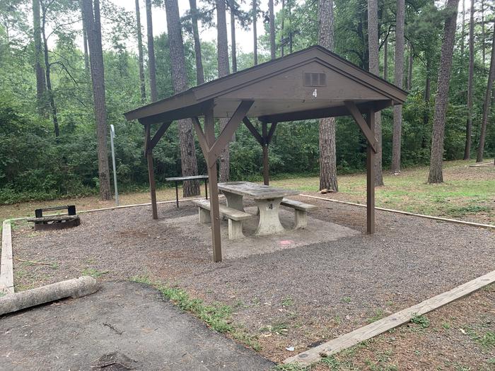 A photo of Site 04 of Loop CARTER COVE  at CARTER COVE with Picnic Table