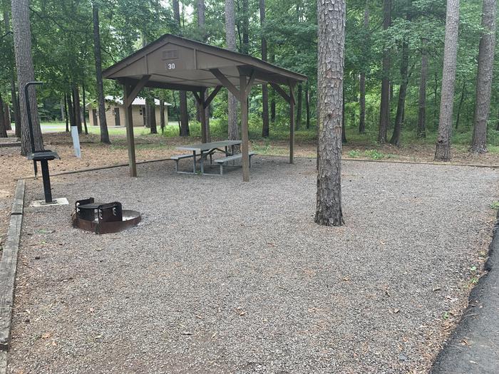 A photo of Site 30 of Loop CARTER COVE  at CARTER COVE with Picnic Table