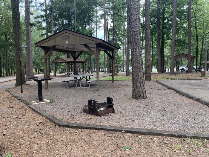 A photo of Site 31 of Loop CARTER COVE  at CARTER COVE with Picnic Table, Fire Pit, Lantern Pole