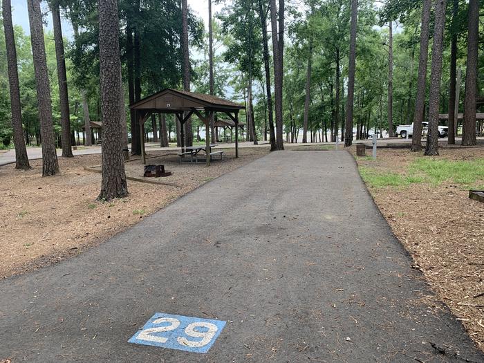 A photo of Site 29 of Loop CARTER COVE  at CARTER COVE with Picnic Table, Electricity Hookup, Fire Pit, Shade, Water Hookup
