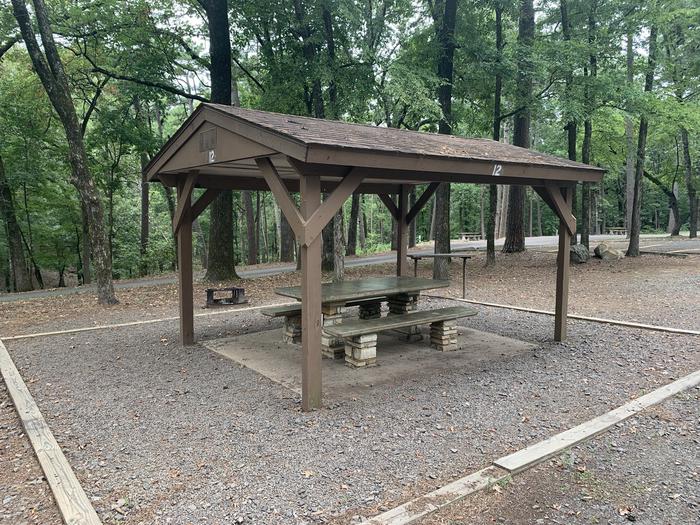 A photo of Site 12 of Loop CARTER COVE  at CARTER COVE with Picnic Table