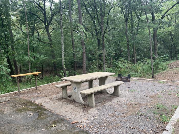A photo of Site 14 of Loop CARTER COVE  at CARTER COVE with Picnic Table, Fire Pit