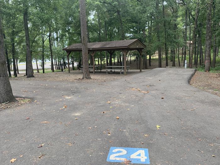 A photo of Site 24 of Loop CARTER COVE  at CARTER COVE with Picnic Table, Electricity Hookup