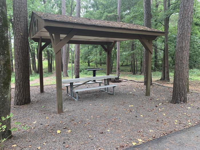 A photo of Site 20 of Loop CARTER COVE  at CARTER COVE with Picnic Table, Fire Pit, Lantern Pole