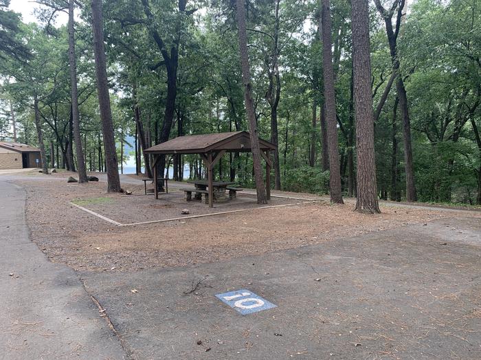 A photo of Site 10 of Loop CARTER COVE  at CARTER COVE with Picnic Table, Electricity Hookup, Water Hookup
