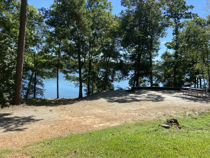A photo of Site 60 of Loop SPRINGFIELD  at SPRINGFIELD with Picnic Table, Electricity Hookup, Fire Pit, Shade, Tent Pad, Waterfront, Lantern Pole, Water Hookup