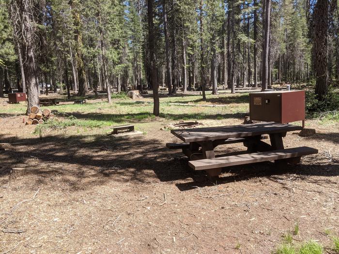 Red Feather Site #53 Photo 2Site #53 with picnic table, bear box, fire ring, and grill in view