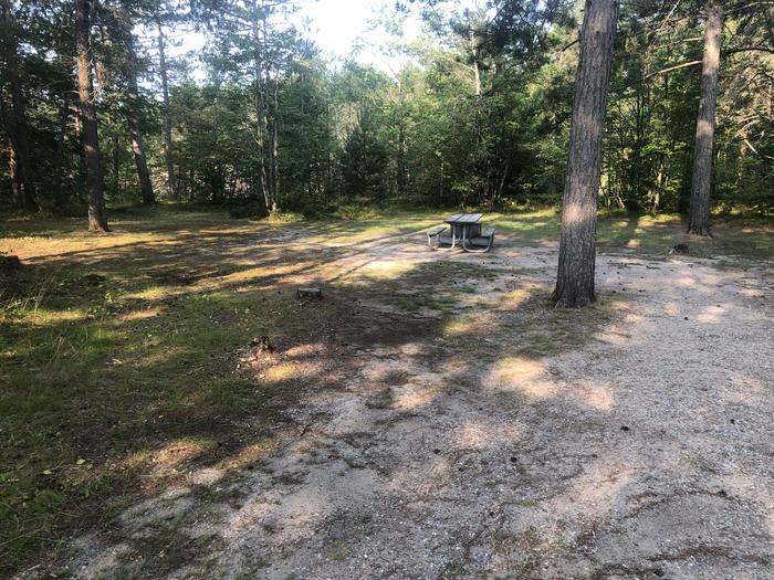 A photo of Site 01 of Loop SOLDIER LAKE  at SOLDIER LAKE with Picnic Table, Fire Pit, Shade