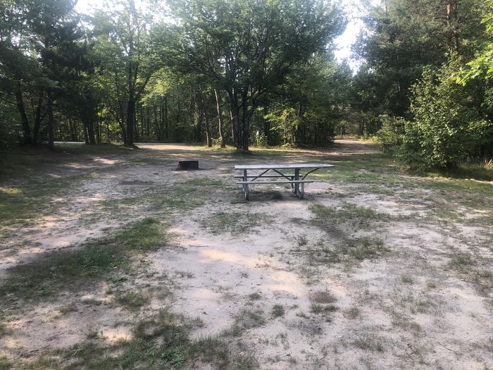 A photo of Site 22 of Loop SOLDIER LAKE  at SOLDIER LAKE with Picnic Table, Fire Pit