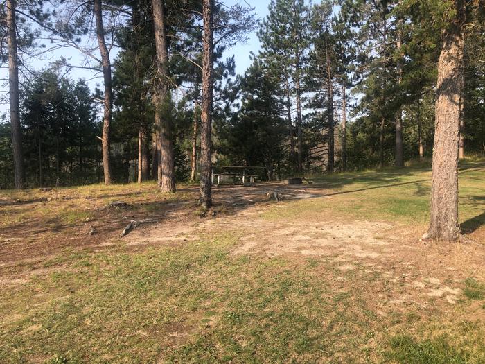 A photo of Site 08 of Loop SOLDIER LAKE  at SOLDIER LAKE with Picnic Table, Fire Pit, Shade