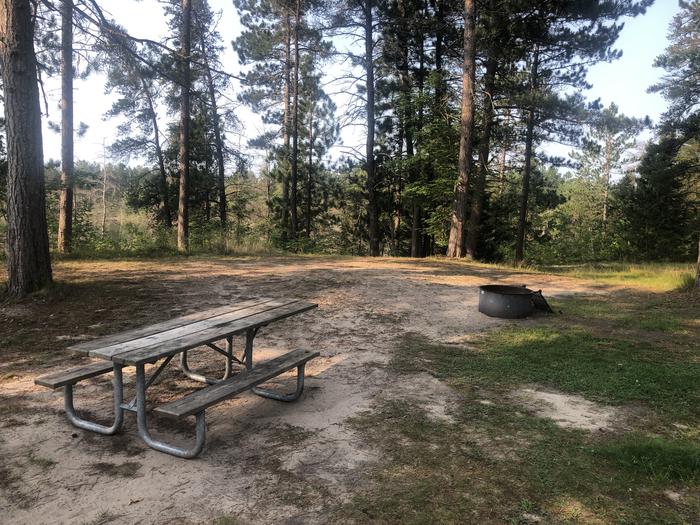 A photo of Site 06 of Loop SOLDIER LAKE  at SOLDIER LAKE with Picnic Table, Fire Pit, Shade