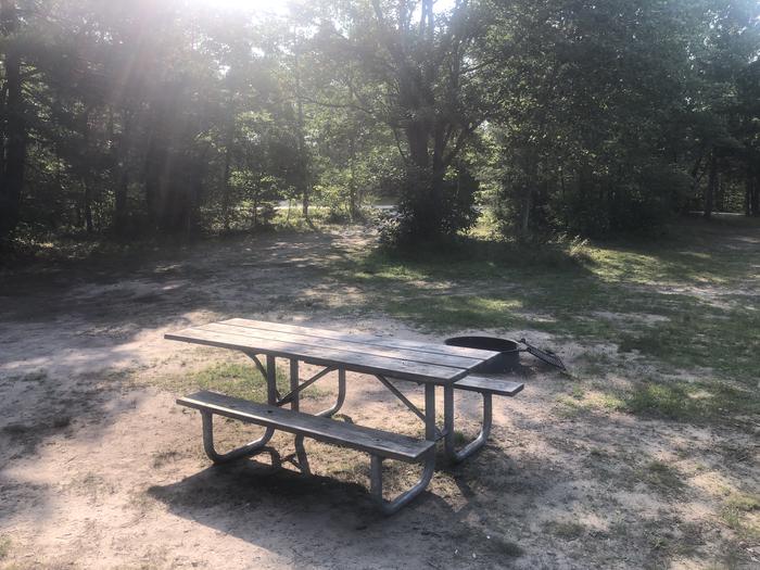 A photo of Site 21 of Loop SOLDIER LAKE  at SOLDIER LAKE with Picnic Table, Fire Pit