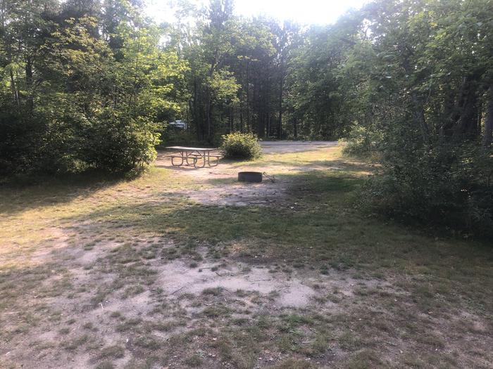 A photo of Site 20 of Loop SOLDIER LAKE  at SOLDIER LAKE with Picnic Table, Fire Pit, Shade