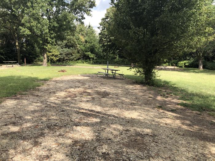 A photo of Site 8 of Loop B at School Creek Camground with Picnic Table, Shade