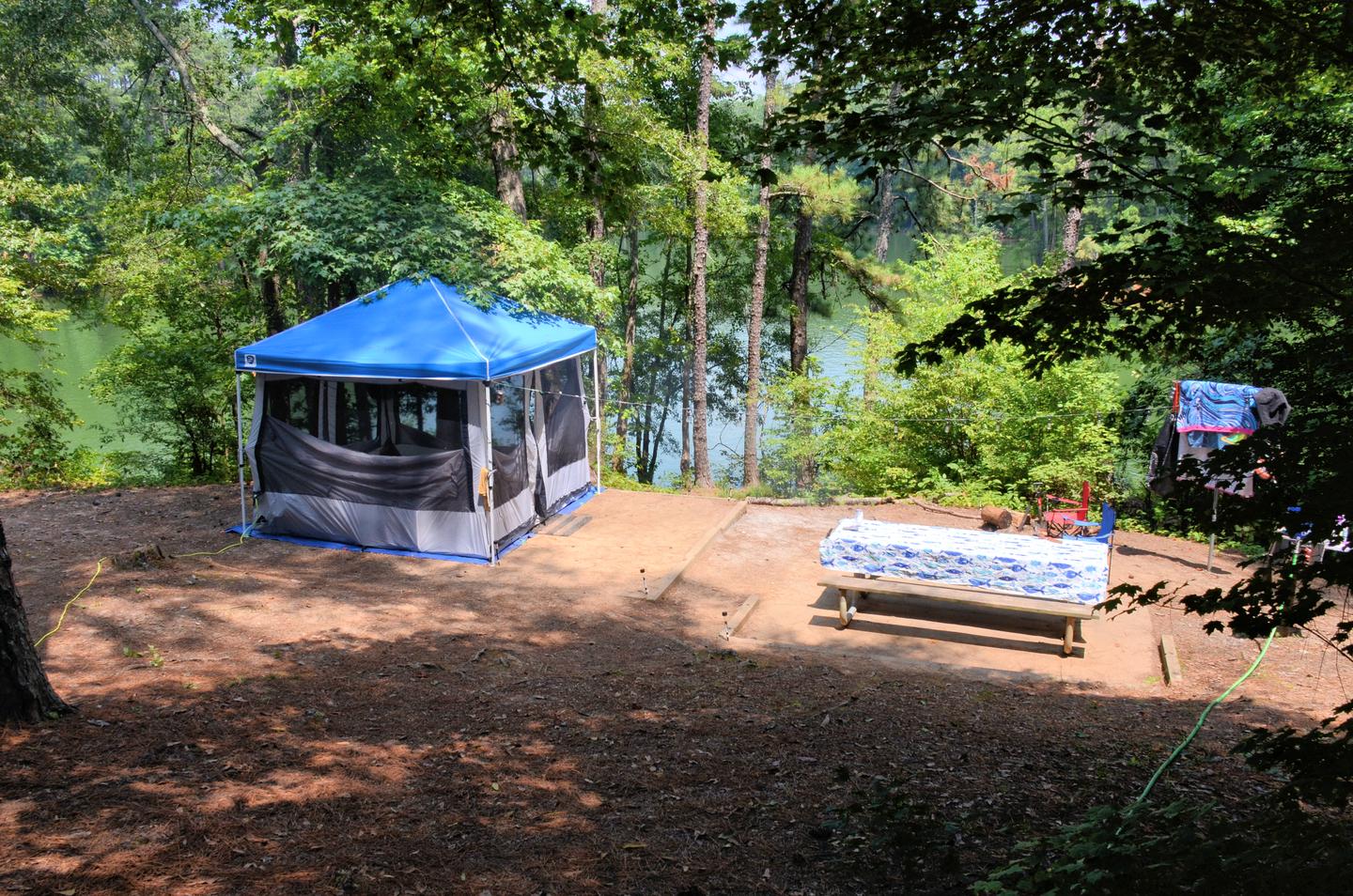 Campsite View-2McKaskey Creek Campground, campsite 3.