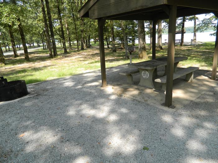 Merrisach Lake D-04 Picnic Shelter + Fire Pit