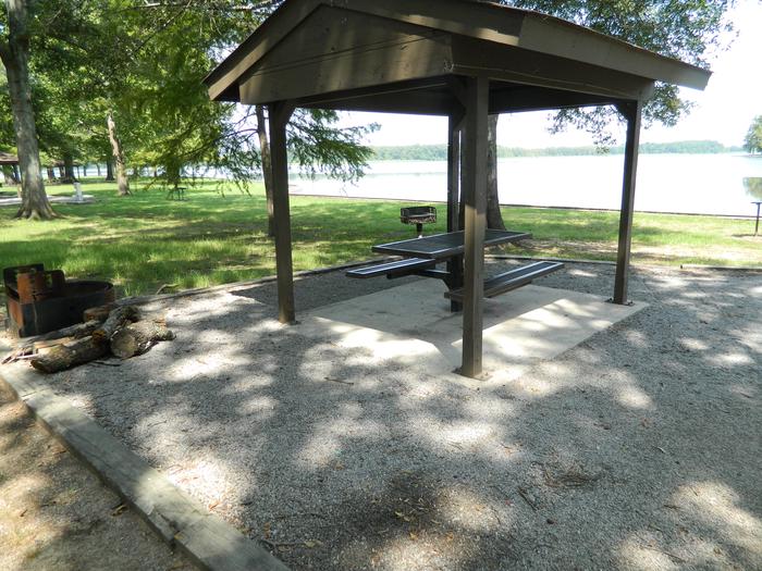 Merrisach Lake D-06 Picnic Shelter + Fire Pit