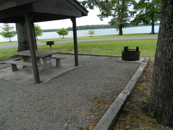 Merrisach Lake D-09 Picnic Shelter + Fire Pit