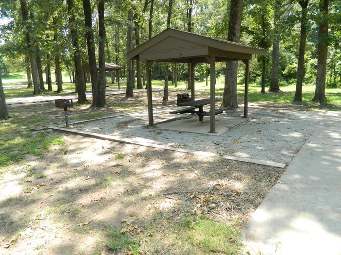 Merrisach Lake D-14 Picnic Shelter + Fire Pit