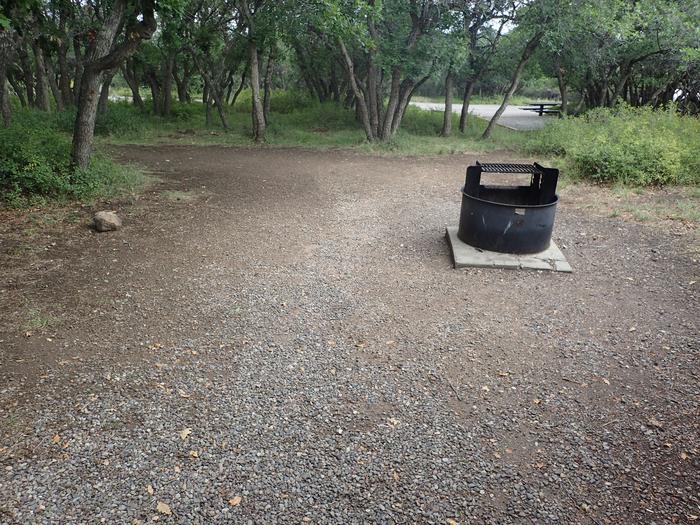 View of open space within Campsite A-007