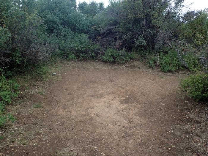 Close-up view of small potential tent area within Campsite A-013