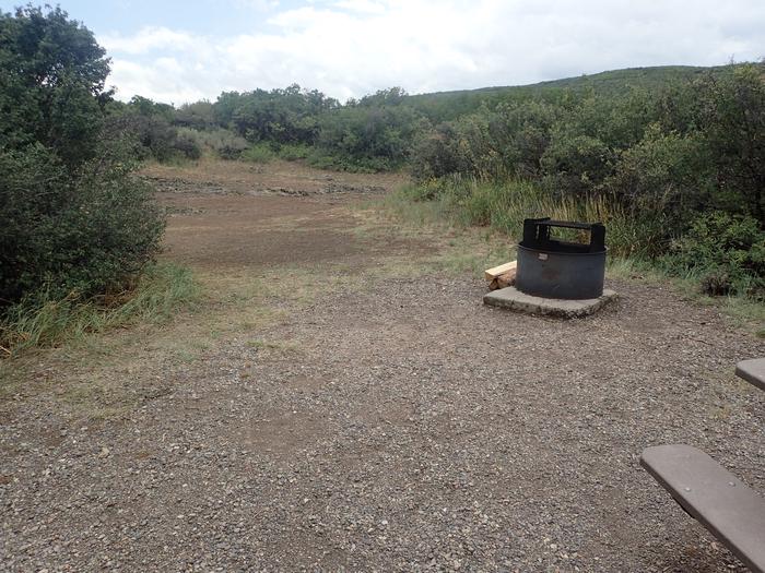 View of potential tent placement within Campsite A-018