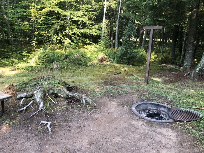 A photo of Site 023 of Loop 2 at Sylvania (Clark Lake) Campground with Fire Pit, Lantern Pole