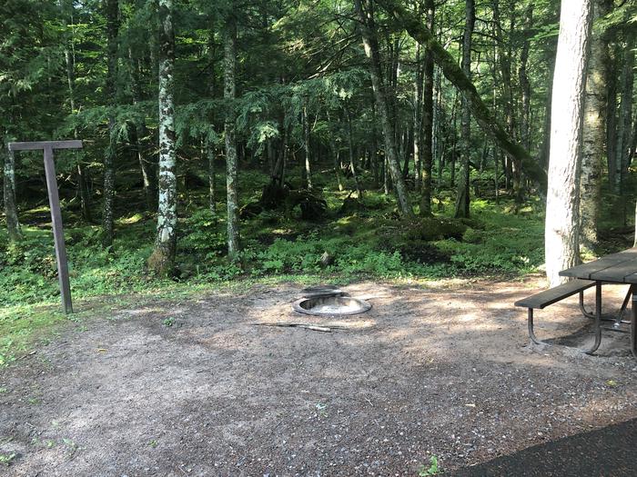 A photo of Site 018 of Loop 2 at Sylvania (Clark Lake) Campground with Picnic Table, Fire Pit, Shade, Lantern Pole