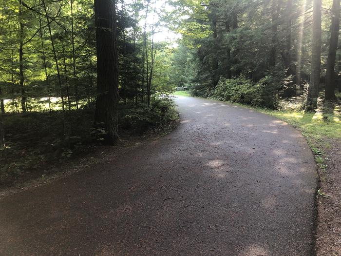 A photo of Site 018 of Loop 2 at Sylvania (Clark Lake) Campground with No Amenities Shown