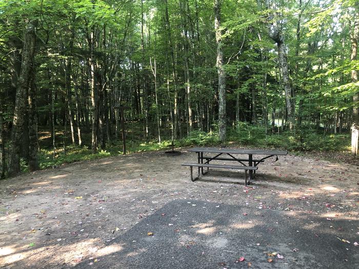 A photo of Site 002 of Loop 1 at Sylvania (Clark Lake) Campground with Picnic Table, Fire Pit, Lantern Pole