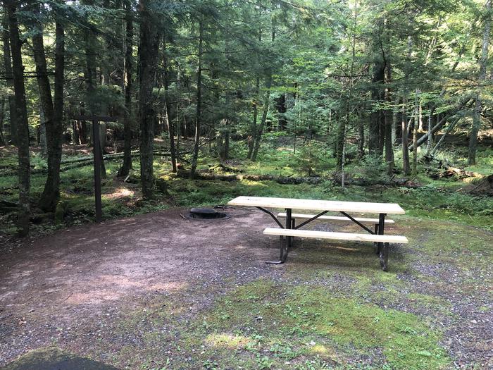 A photo of Site 019 of Loop 2 at Sylvania (Clark Lake) Campground with Picnic Table, Fire Pit, Shade, Lantern Pole