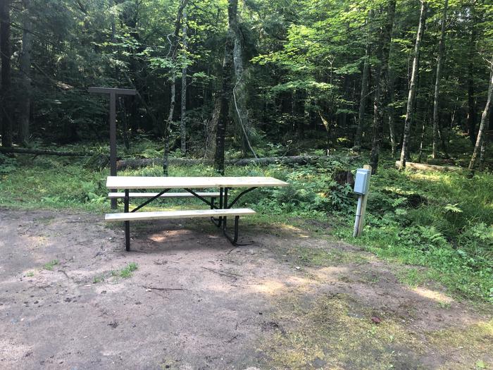 A photo of Site 021 of Loop 2 at Sylvania (Clark Lake) Campground with Picnic Table, Electricity Hookup, Shade, Lantern Pole