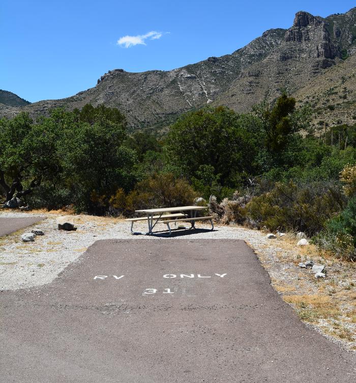 RV campsite 31 has a short paved, pull-in parking spur.  There is a picnic table at this site and vegetation along the back edge.RV campsite 31 is a short, paved, pull-in parking spur.  A picnic table is available at this site. 