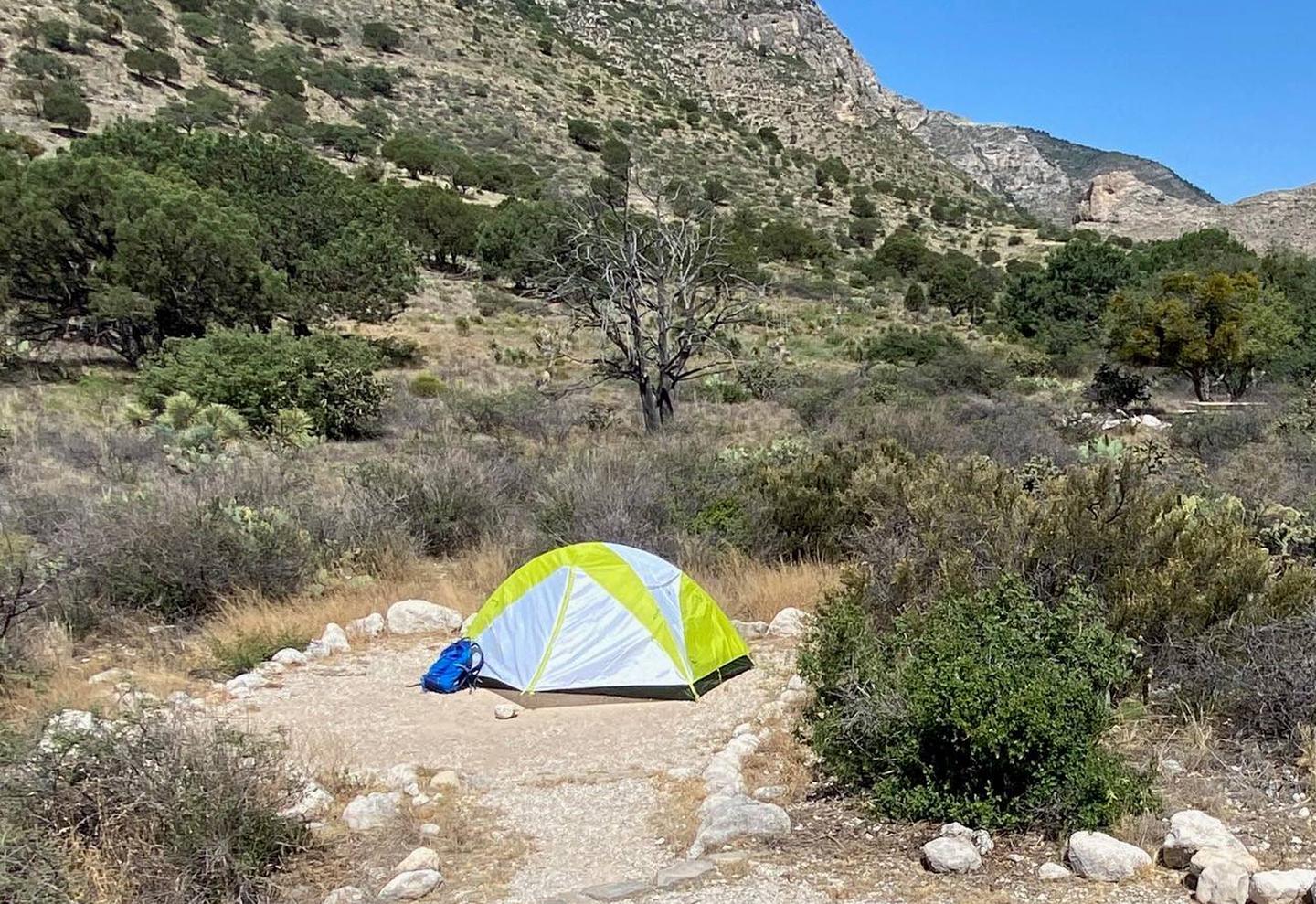 Tent campsite number 5 with desert vegetation surrounding tent pad.