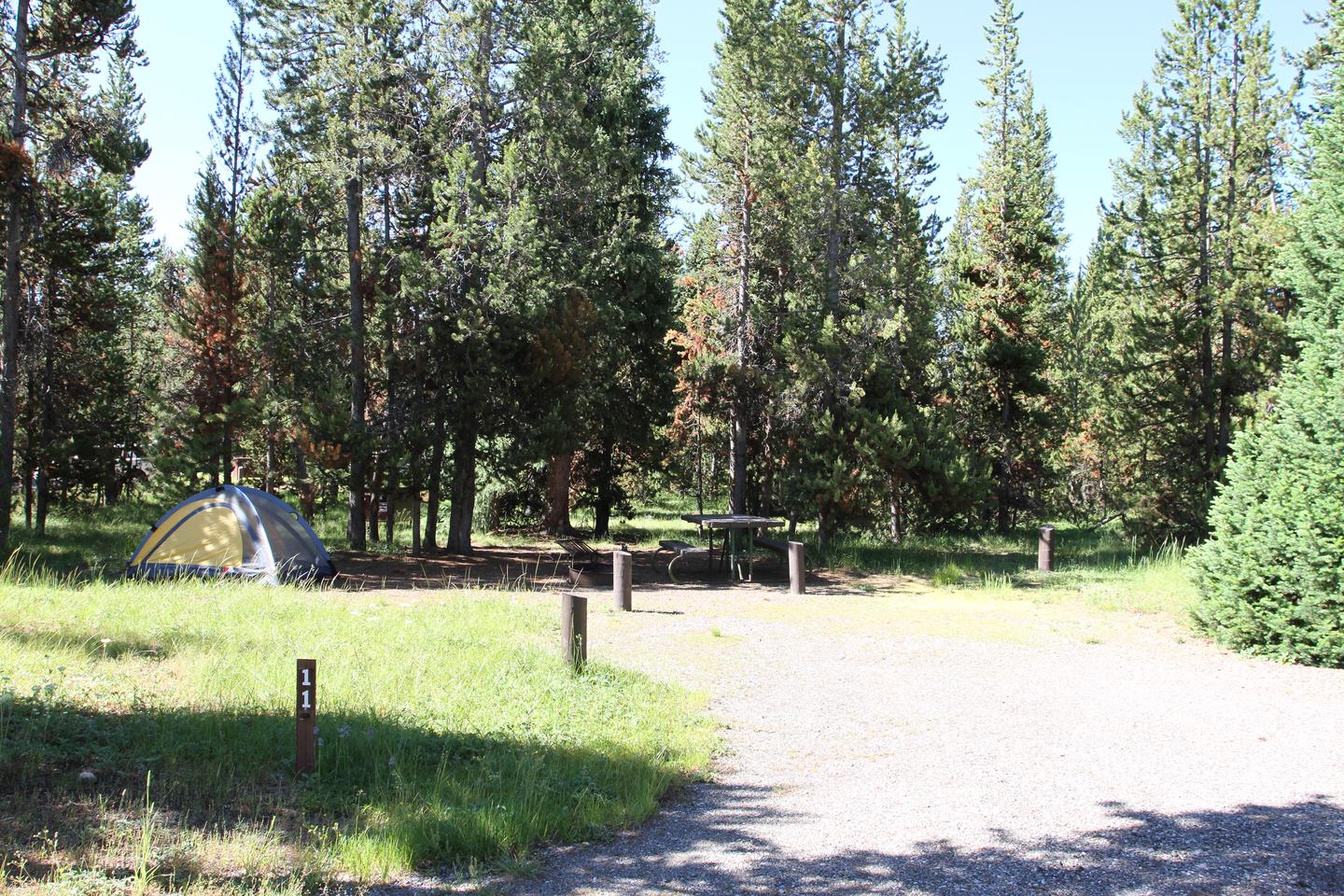 Indian Creek Campground site #11.