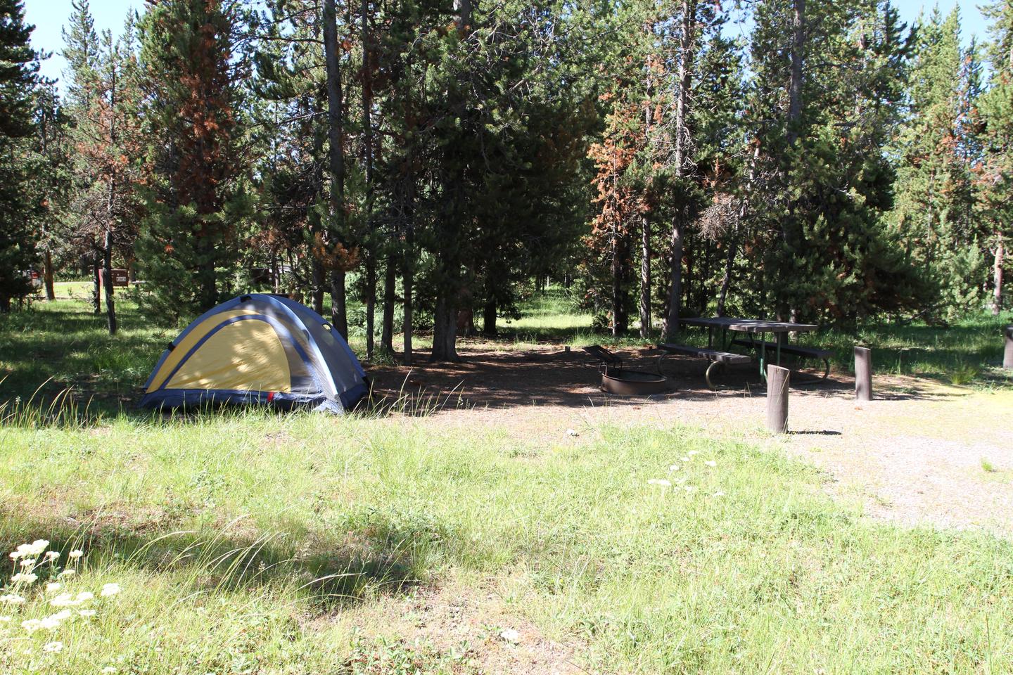 Indian Creek Campground site #11