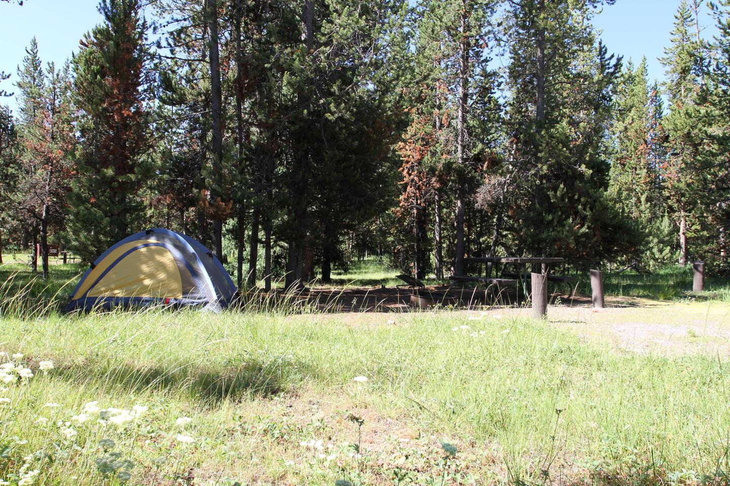 Indian Creek Campground site #11..