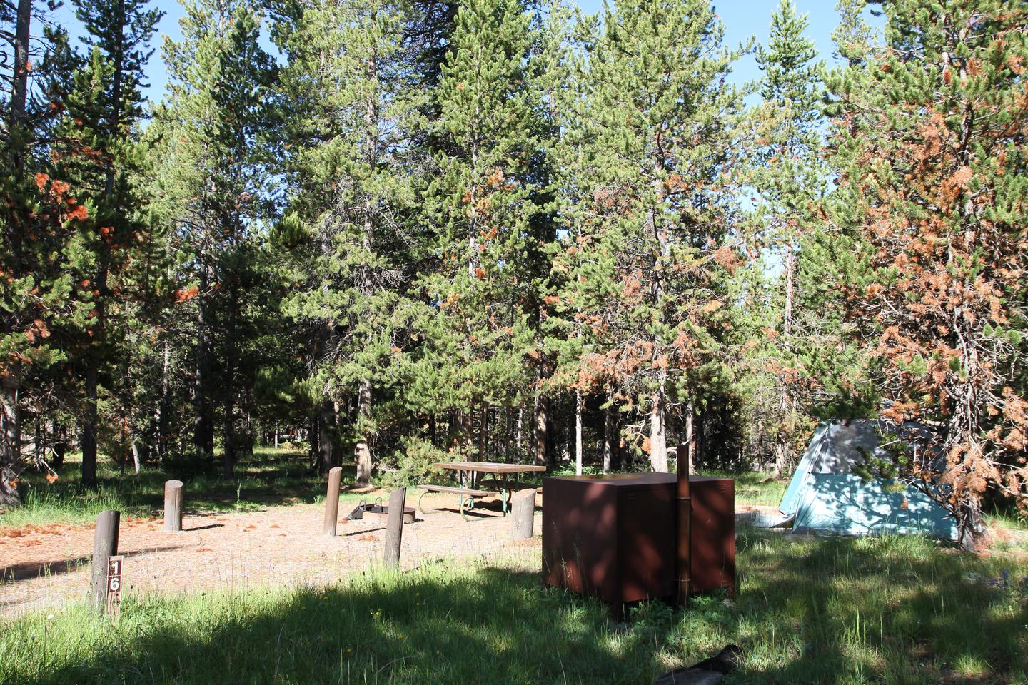 Indian Creek Campground site #16