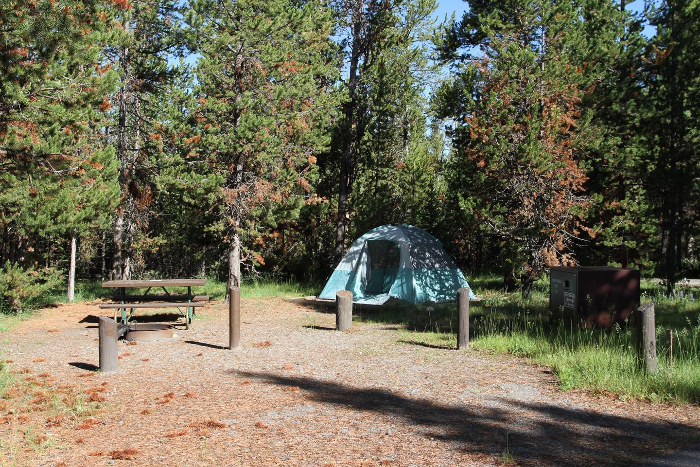 Indian Creek Campground site #16.